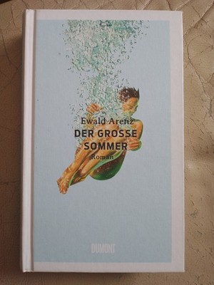 Ewald Arenz: Der grosse Sommer (Gebundene Ausgabe, 9783832181536)