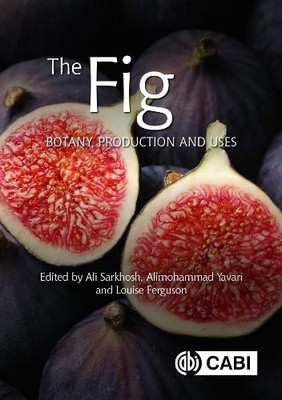 Ana I Galván The Fig (Gebundene Ausgabe) Botany, Production and Uses