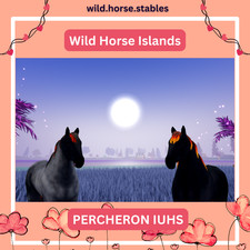 Wild Horse Islands - Percheron Island pelo único/IUH