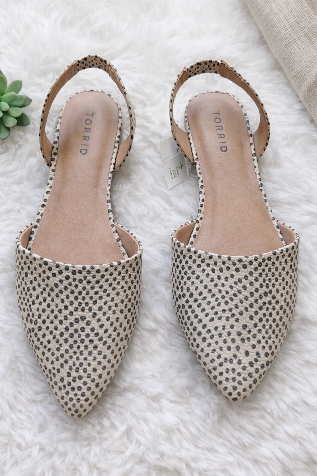 Torrid Women's Beige Black Polka Dot Slip-On Pointed Toe Flats Casual