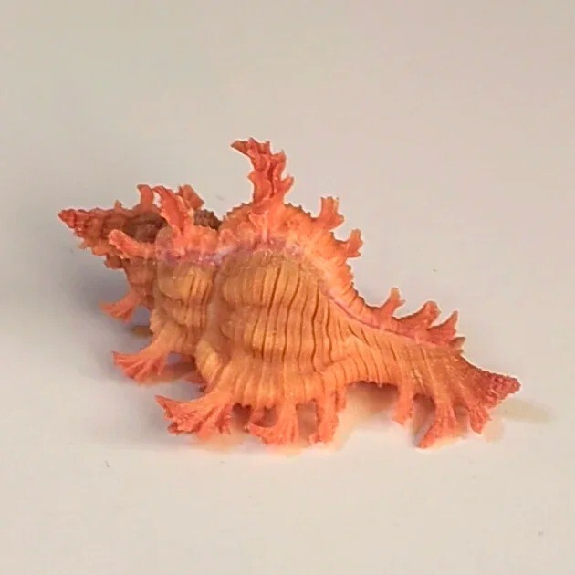 Picture 5 of 10