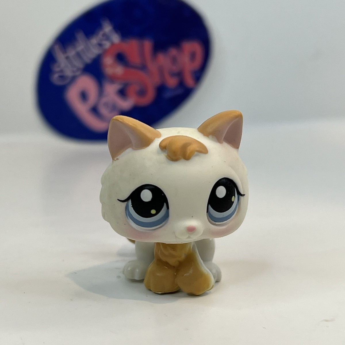 KITTEN CAT #134 - Authentic Littlest Pet Shop - Hasbro LPS | eBay