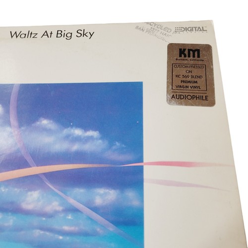 Jon Goin –Waltz At Big Sky 12" Vinyl Record Promo 1988 Audiophile Jazz MCAD42127 - Picture 2 of 6