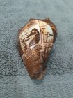 Hand Carved Sea Horse On Sea Shell — photo 1