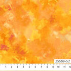 Bild 2 von 12