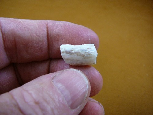 (O-280-2) Fossil Belemnite White Coober Pedy opal specimen stone squid Australia - Picture 5 of 5