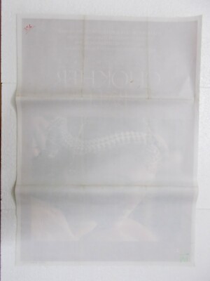 CHOKHER BALI 2003 AISHWARYA PROSENJIT CHATTERJEE Rare Poster Bollywood Film