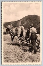 RPPC Farmer Walking Behind Plow with Horses Mountain Real Photo Foreign Postcard