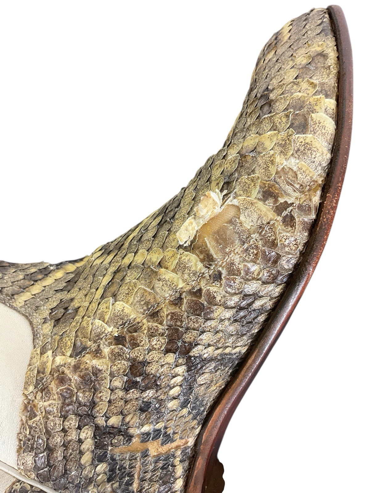 LUCCHESE CLASSIC EASTERN DIAMONDBACK RATTLESNAKE … - image 11