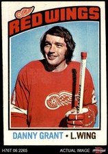 1976 Topps #16 Danny Grant Red Wings 4 - VG/EX