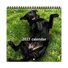 Black Lab Puppy Calendar 2027 Labrador Puppies Monthly Wall Calender
