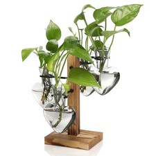 Indoor Plant Terrarium Propagation Station with Wooden Stand 4 Bulb Vases