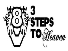SCANIA 3 STEPS TO HEAVEN x2 VABIS V8 NEXTGEN ...