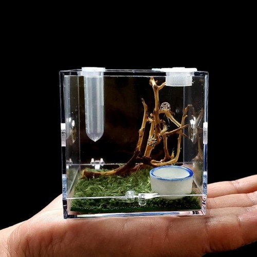 Spider Terrarium, Acrylic Reptile Breeding Box Jumping Spider Enclosure with ...