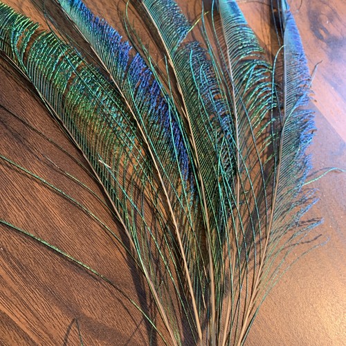 5pcs 35cm Natural Left Sword Peacock Feathers DIY Art Craft Millinery Vase Decor - Picture 10 of 11
