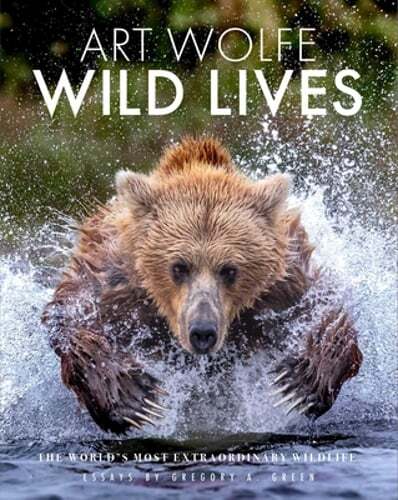 Discover the World's Most Extraordinary Wildlife by Gregory Green
