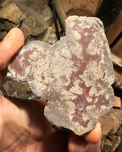 Agatized Utah Barite nodule slab - Picture 6 of 8