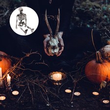 Plastic Skeleton Party Prop Skull Halloween Model Toy Decorative