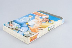 Nintendo NES *Hammerin' Harry* OVP CIB Poster PAL B 59-FRG +