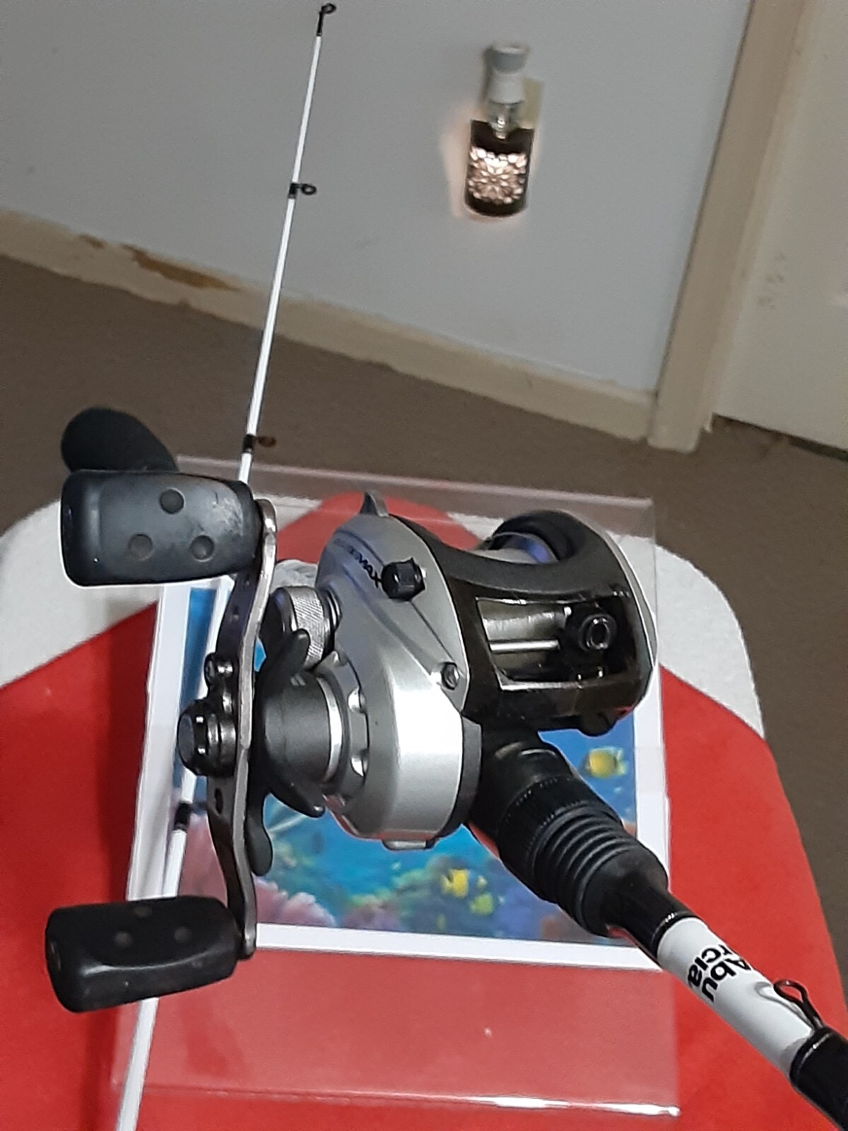 Picture 11 of 20