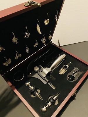 9 Pcs Wine Opener Set Corkscrew Kit Deluxe  Pourer Wine Tool Accessories Charms