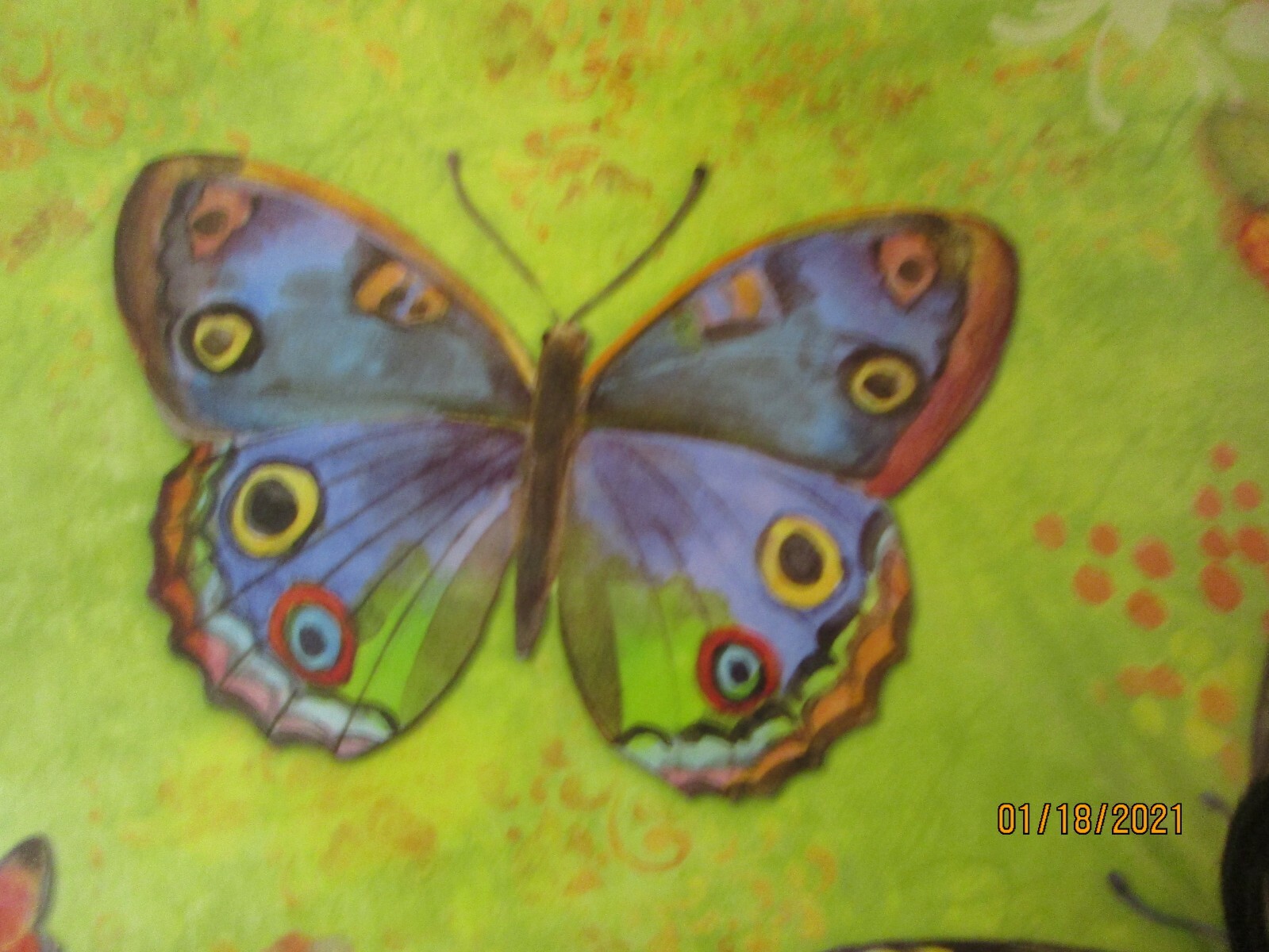 Picture 8 of 12