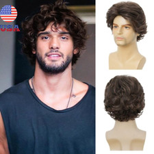Men's Short Curly Brown Wig Anime Cosplay Wigs Cosplay Party Costume Hair Wig US