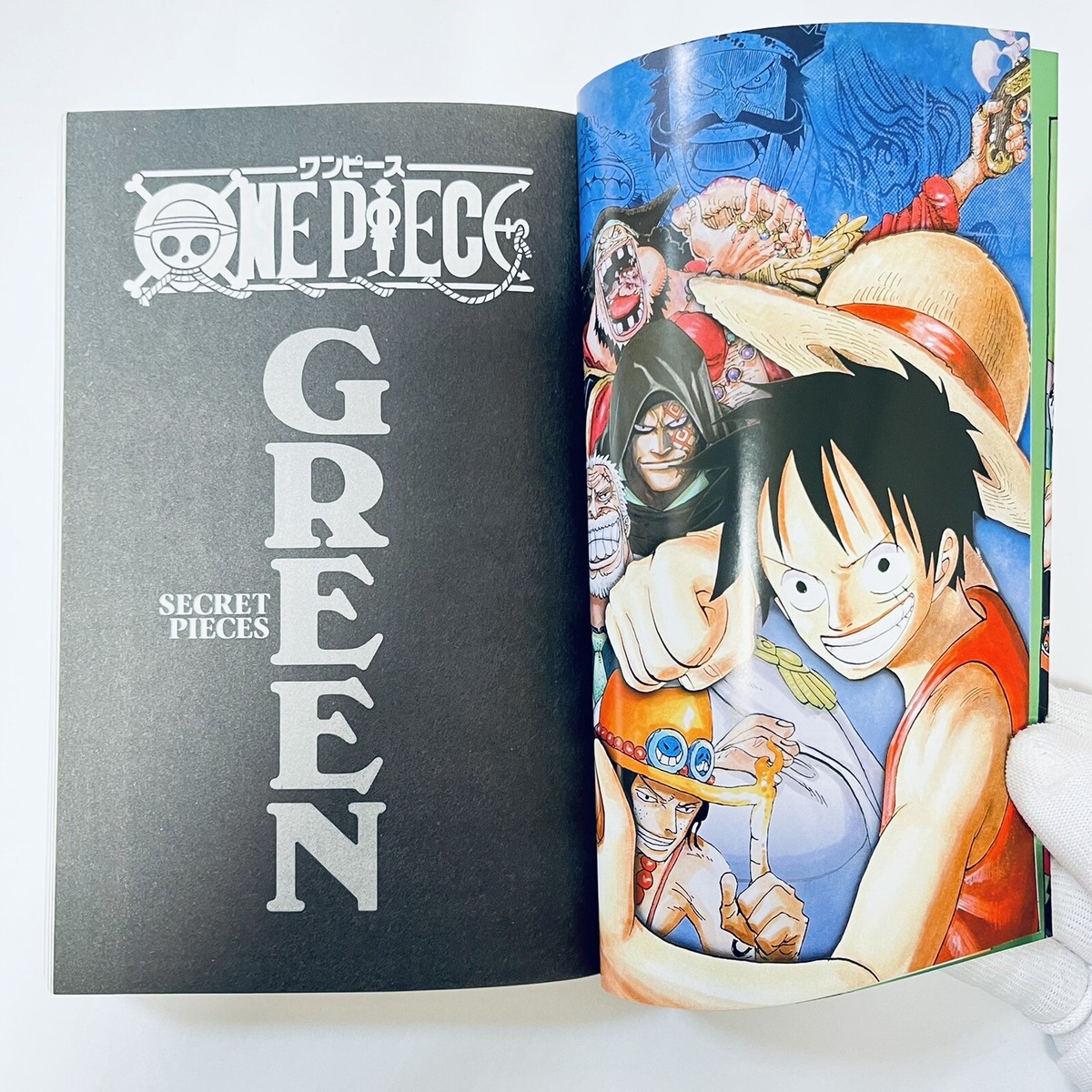 少年漫画 ONE PIECE GREEN SECRET PIECES ONE PIECE GREEN SECRET PIECES (Jump Comics) (2010) ISBN