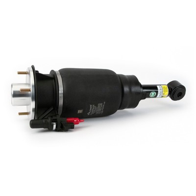 Arnott Industries Rear Left Air Suspension Strut AS-3462 for Ford