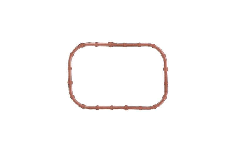 Joint collecteur admission REINZ 71-11084-00 compatible avec FORD S-Max et FOCUS 3 cj