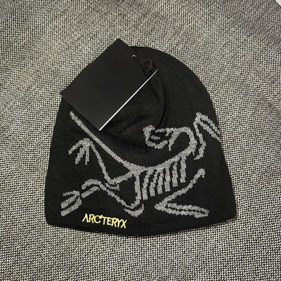 Arc teryx Bird Head Toque Mütze Beanie
