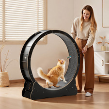 Cat Exercise Wheel, Black