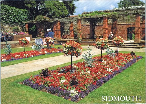 Postcard SIDMOUTH Municipal Rose Garden Flower Plant Nature Botany Tree AA07109 - 第 1/2 張圖片
