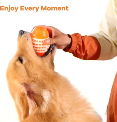 New Treat Dispensing Dog Toys for Interactive Chase and Fetch Training Game