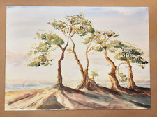 Autentico quadro acquerello/guazzo su carta acquerello. Firmato da R. Haigh.