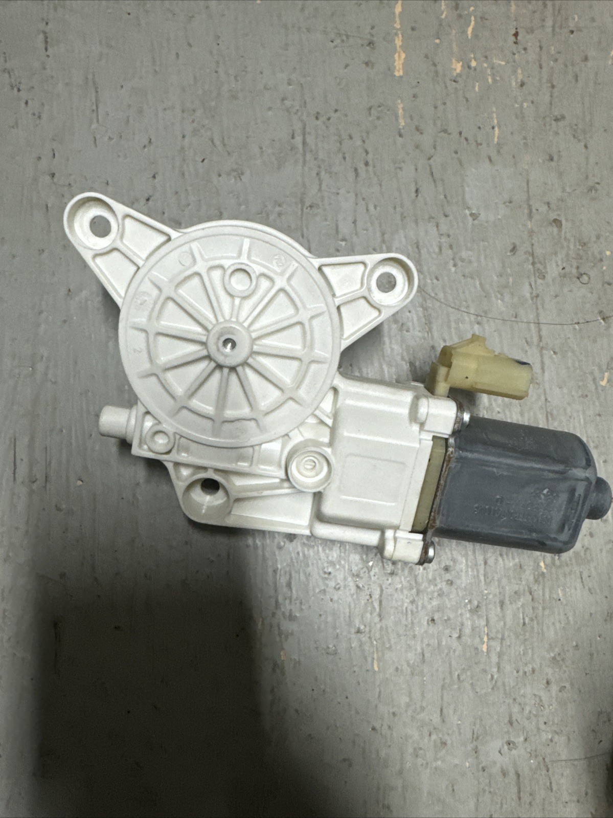 Foto 2 di 4