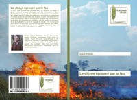 Joseph Kolemou | Le Village éProuvé Par Le Feu | Taschenbuch | FranzöSisch