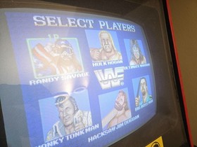 Wwf Superstars PCB