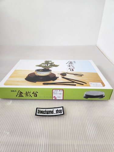 Kikuwa Bonsai Giapponese Set di 10 Alta Qualità Nuovo Giappone Giardinaggio Principianti - Foto 8 di 23