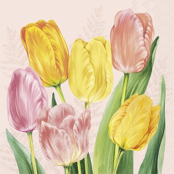 4 x Paper Napkins/33cm/3Ply/Decoupage/Assorted Tulips/Yellow/Apricot