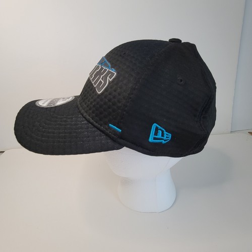 Carolina Panthers Hats, Bags, Decals, Cheerleader Plush, Stocking Fan Bundle - Picture 19 of 24