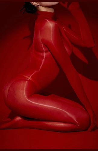 Rückenreißverschluss nahtlos Bodystocking Body transparent ölig glänzend Overall mit Handschuhen - Bild 50 von 69