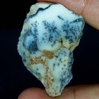Foto 42 di 61