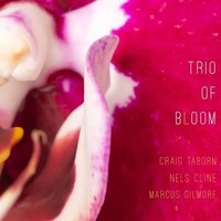Trio Of Bloom | Trio Of Bloom | Audio-Cd | CD | 2026 | Pyroclastic Records