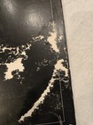 Picture 6 of 11