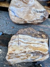 Rare Rocks AgatesJaspers Rough Unpolished 2.5 Lbs