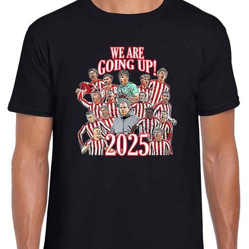 Sunderland Promoted 2025 Adult Unisex T-Shirt Tee Design 1 S-XXXL Top Fans Gift - Picture 11 of 12