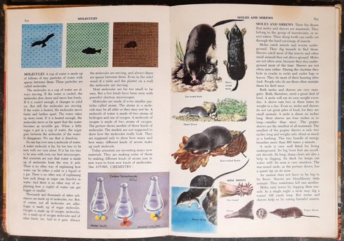 The Junior World Encyclopaedia - Book 10 - Mathematics To Natural Gas - 1959 - Picture 8 of 9