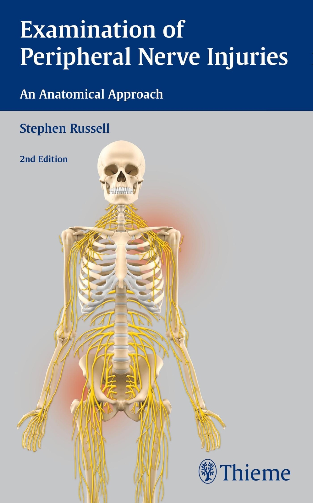 Thumbnail - Examination Of Peripheral Nerve Injuries: An Anatomical Approach