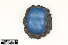 Reptile Water Bowl Small Dish Resin Naturalistic Ocean Rock Snake Lizard Frog